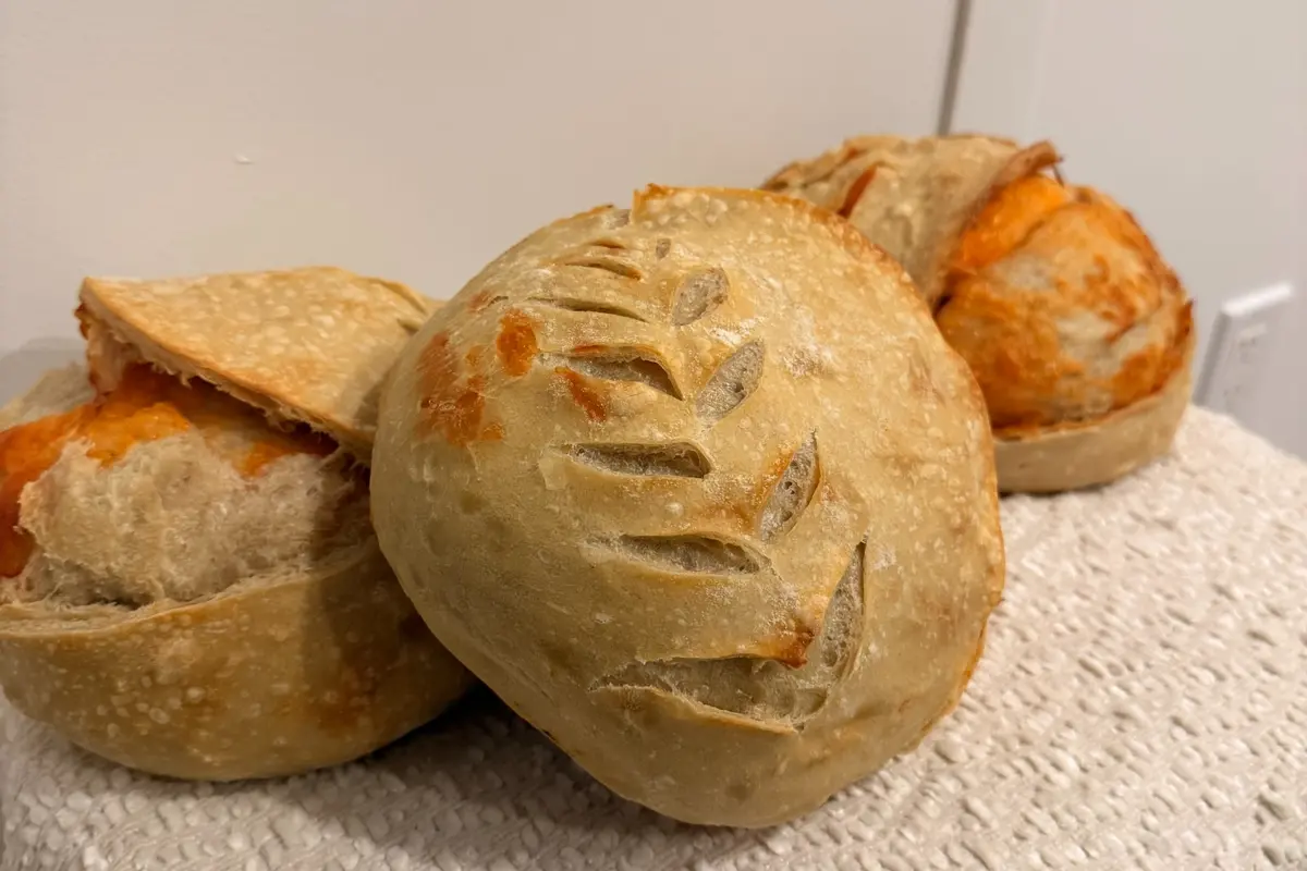 Freshly baked double cheddar sourdough loaves