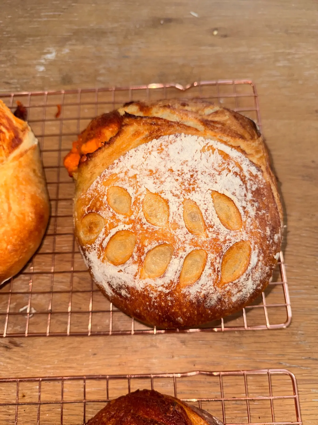 Fresh jalapeño cheddar sourdough loaf